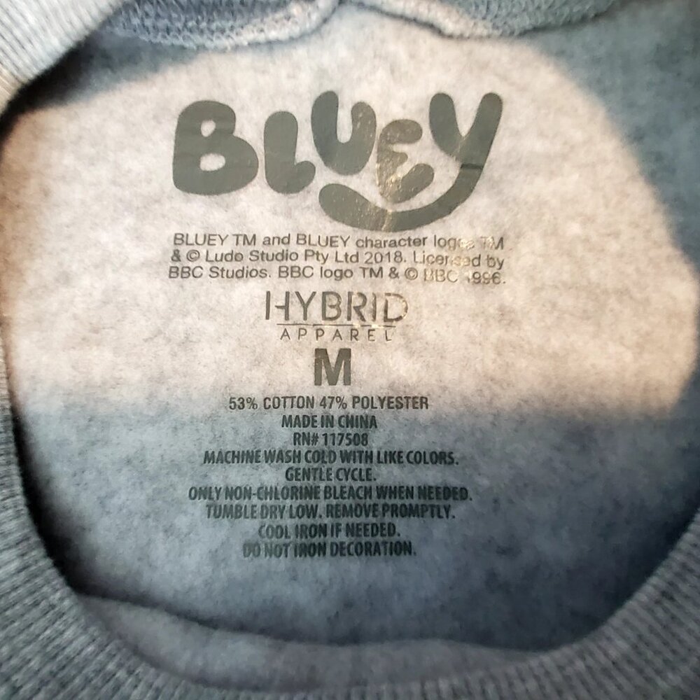 Bluey Heather Grey Sweatshirt Size M Featuring Best Buddies Front & Back Graphic - Picture 4 of 7